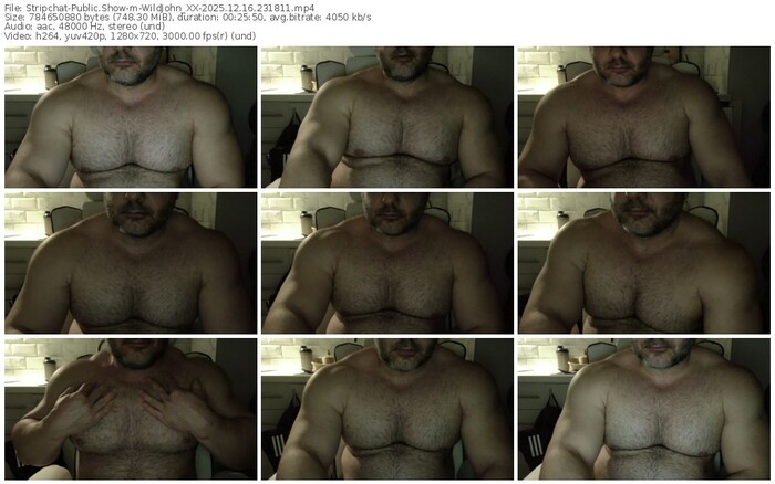 stripchat-wildjohn_xx-12-16-2025-23-18-11