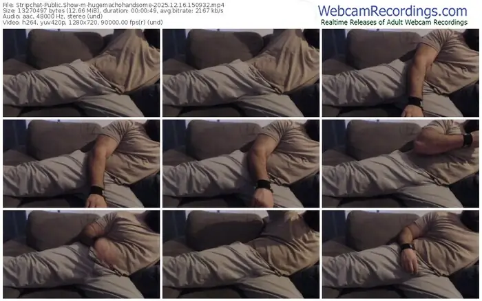 stripchat-hugemachohandsome-12-16-2025-15-09-32