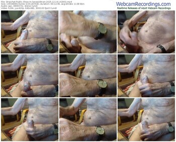 stripchat-lasseoldman-12-16-2025-14-29-01