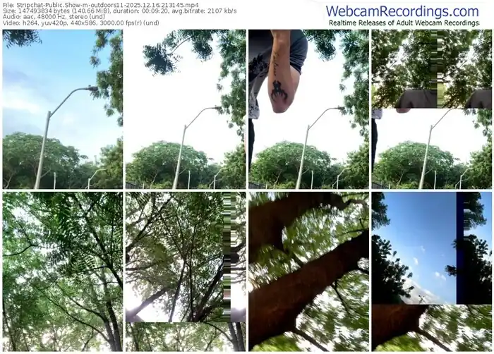 stripchat-outdoors11-12-16-2025-21-31-45