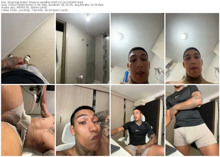 stripchat-sendfer-12-16-2025-02-34-05