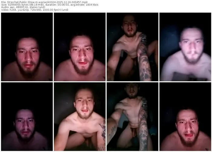 stripchat-wariacik0024-12-16-2025-00-04-57