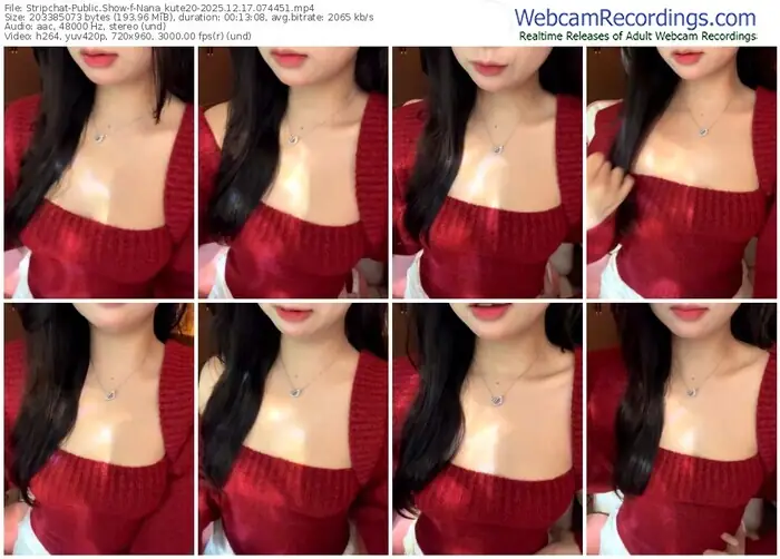 stripchat-nana_kute20-12-17-2025-07-44-51