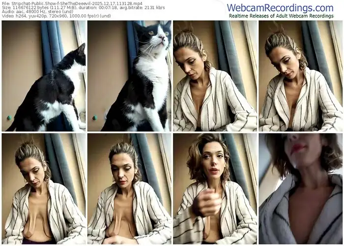 stripchat-shethedeeevil-12-17-2025-11-31-28