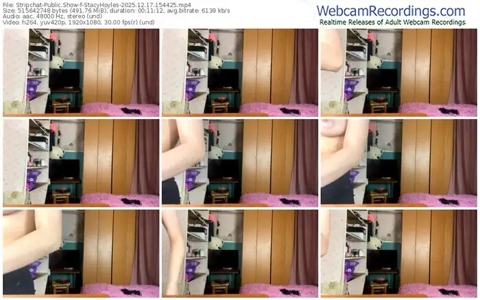 stripchat-stacyhoyles-12-17-2025-15-44-25