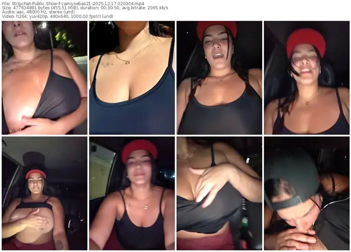 stripchat-camiysebas21-12-17-2025-02-03-04