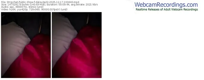 stripchat-dalou3a22-12-17-2025-10-04-40