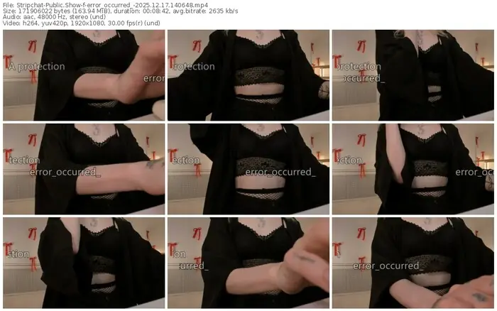 stripchat-error_occurred_-12-17-2025-14-06-48