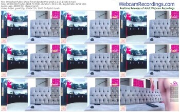 stripchat-meridandwither-12-17-2025-13-14-19