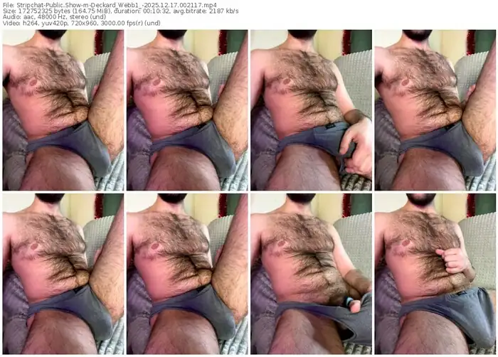 stripchat-deckard_webb1_-12-17-2025-00-21-17