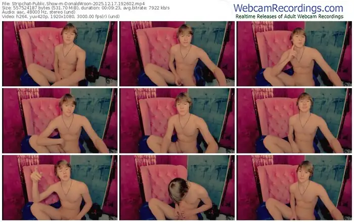 stripchat-donaldwoon-12-17-2025-19-26-02