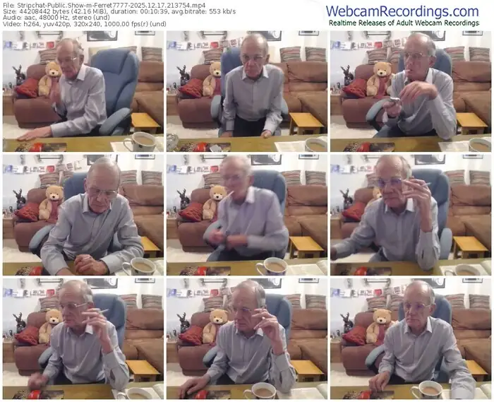 stripchat-ferret7777-12-17-2025-21-37-54