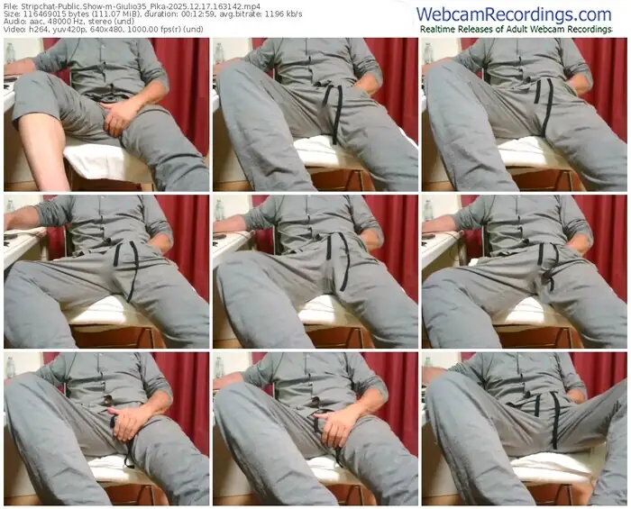 stripchat-giulio35_pika-12-17-2025-16-31-42