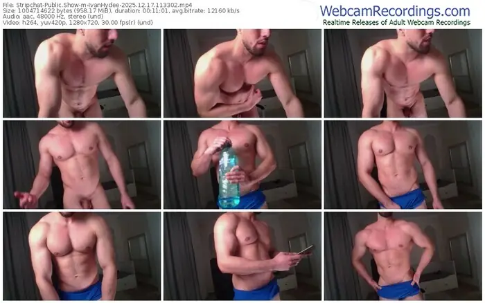 stripchat-ivanhydee-12-17-2025-11-33-02