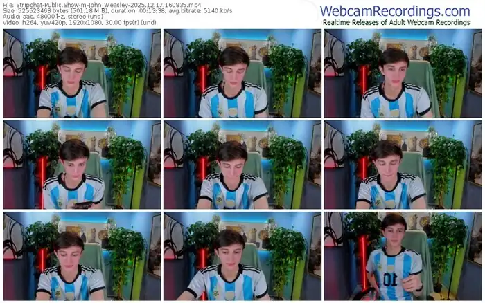 stripchat-john_weasley-12-17-2025-16-08-35