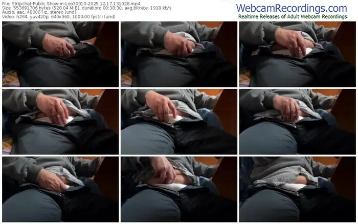 stripchat-leo30010-12-17-2025-13-10-28