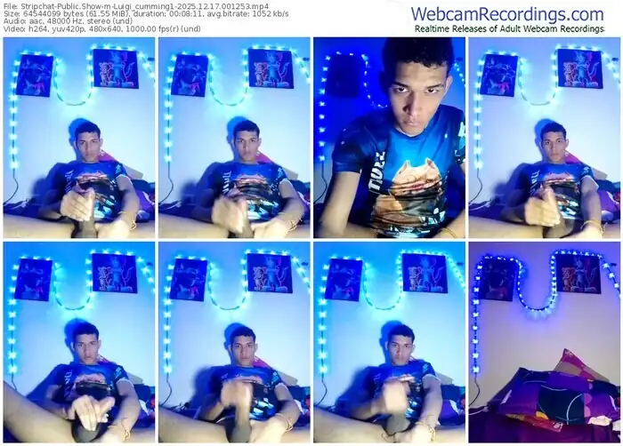 stripchat-luigi_cumming1-12-17-2025-00-12-53