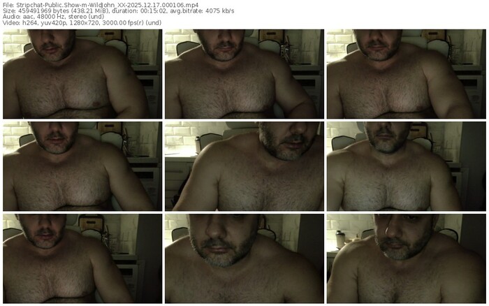 stripchat-wildjohn_xx-12-17-2025-00-01-06
