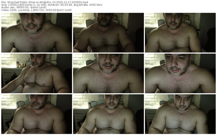 stripchat-wildjohn_xx-12-17-2025-02-39-53