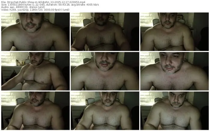 stripchat-wildjohn_xx-12-17-2025-02-39-53