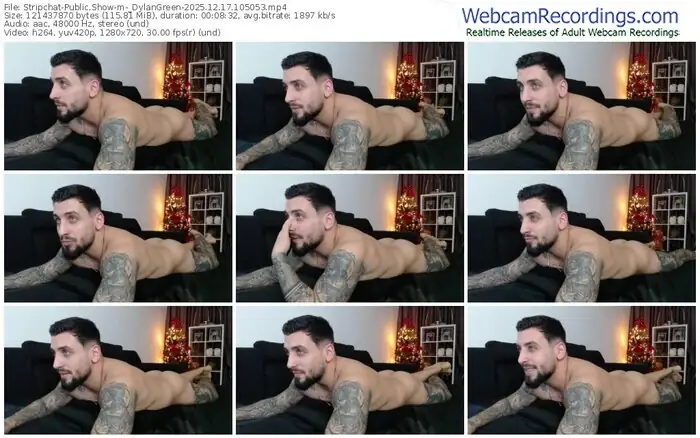stripchat-_dylangreen-12-17-2025-10-50-53
