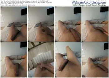 stripchat-elvezzukegyutt33-12-17-2025-22-45-43