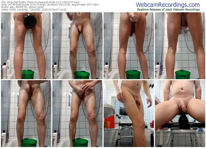 stripchat-toywood-12-17-2025-06-17-37