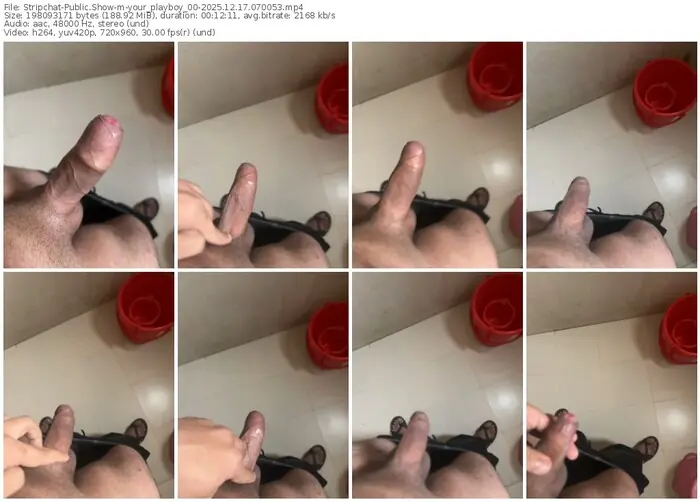stripchat-your_playboy_00-12-17-2025-07-00-53