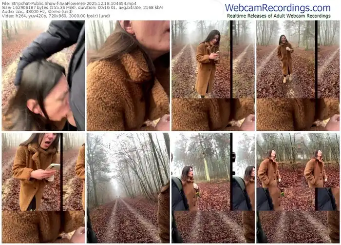 stripchat-avaflowers6-12-18-2025-10-46-54