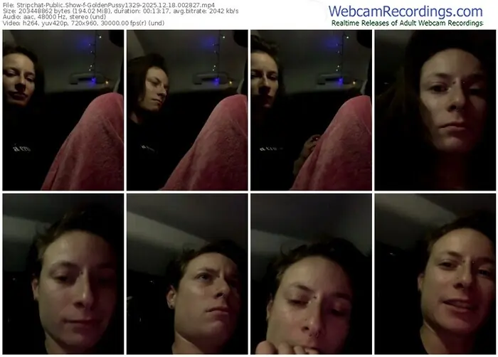stripchat-goldenpussy1329-12-18-2025-00-28-27