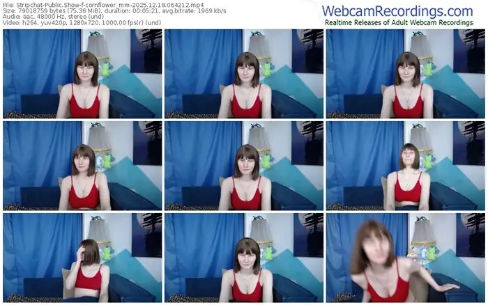 stripchat-cornflower_mm-12-18-2025-06-42-12