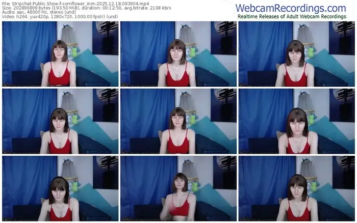 stripchat-cornflower_mm-12-18-2025-09-39-04