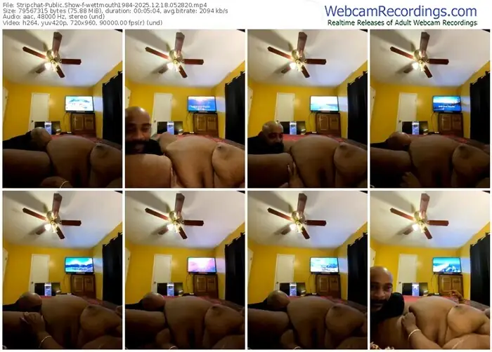 stripchat-wettmouth1984-12-18-2025-05-28-20