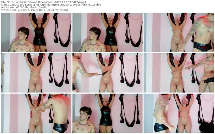 stripchat-aliceandmax-12-20-2025-16-41-24