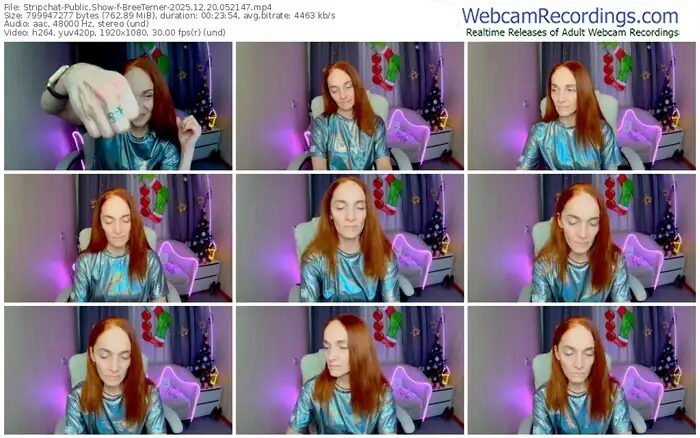 stripchat-breeterner-12-20-2025-05-21-47