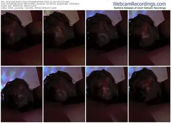 stripchat-danapanteer-12-20-2025-04-31-10