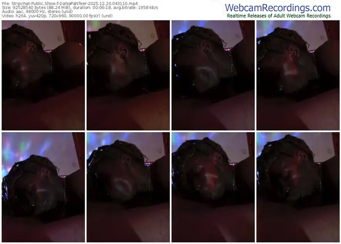 stripchat-danapanteer-12-20-2025-04-31-10