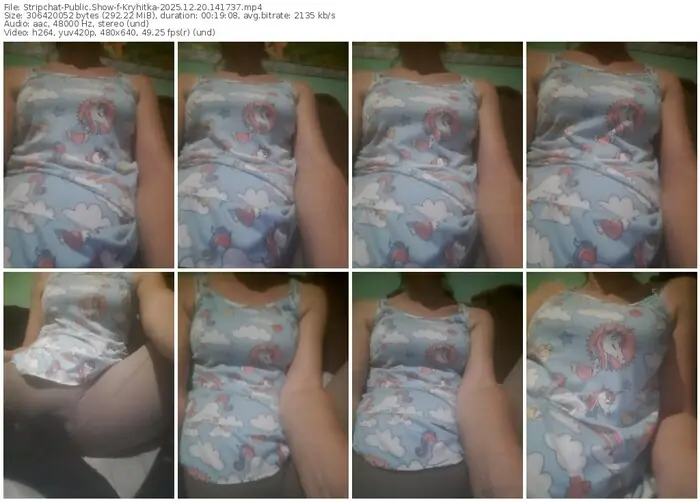 stripchat-kryhitka-12-20-2025-14-17-37