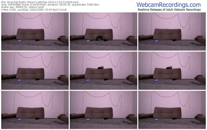 stripchat-ladytrep-12-20-2025-21-46-26