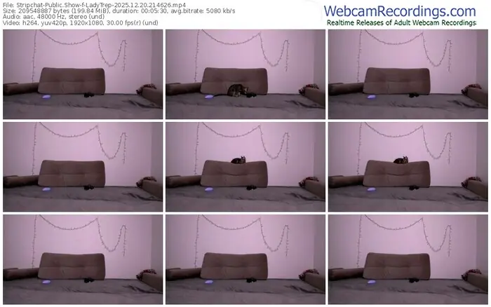stripchat-ladytrep-12-20-2025-21-46-26