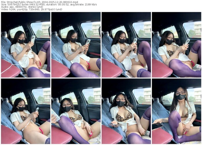 stripchat-linh_2004-12-20-2025-08-06-10