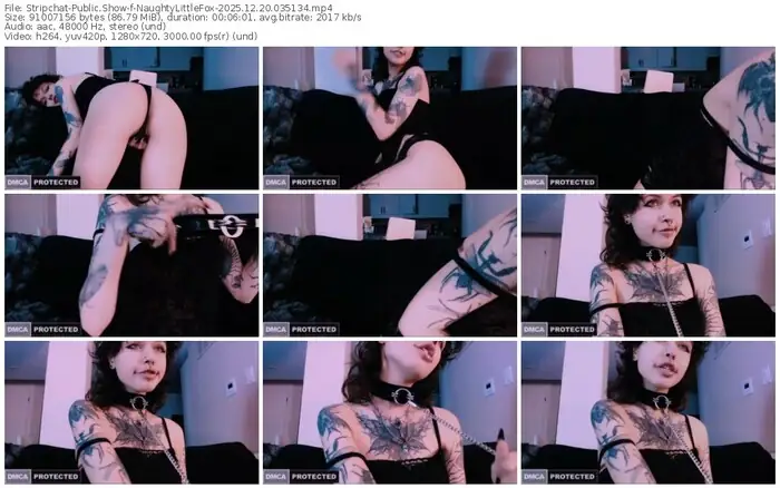 stripchat-naughtylittlefox-12-20-2025-03-51-34