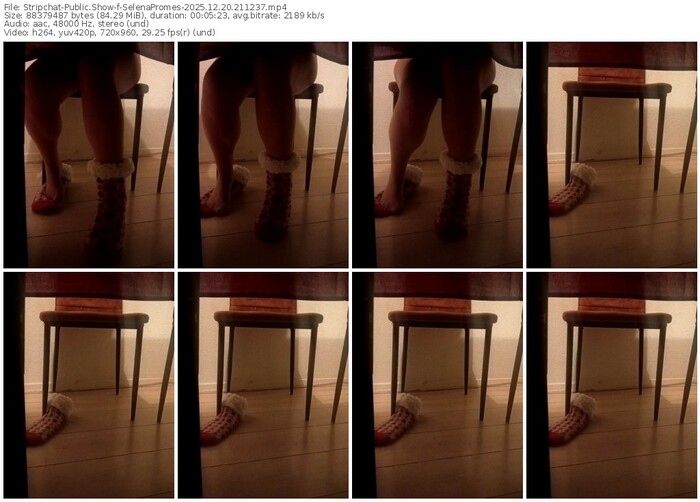 stripchat-selenapromes-12-20-2025-21-12-37