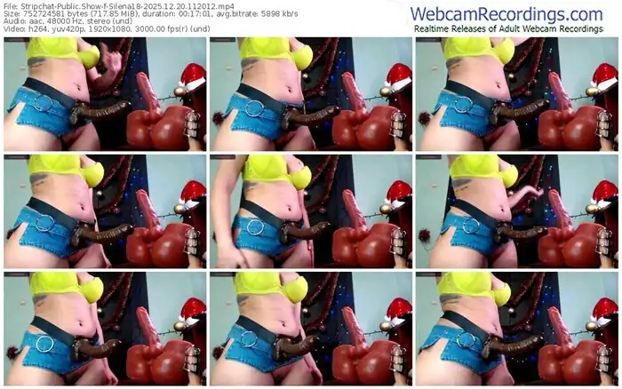 stripchat-silena18-12-20-2025-11-20-12