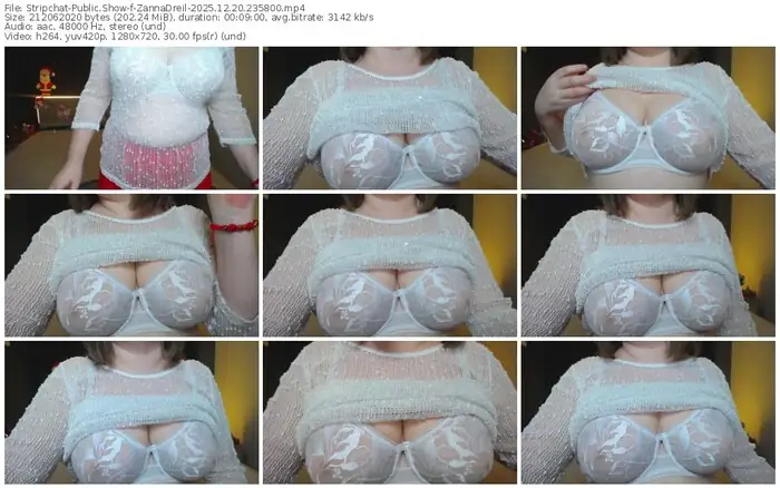 stripchat-zannadreil-12-20-2025-23-58-00