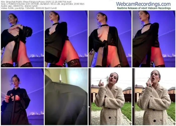 stripchat-bigjuicypussy-12-20-2025-09-57-54