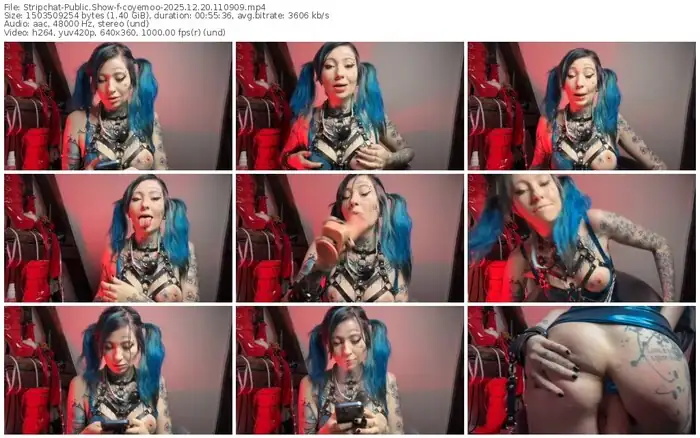 stripchat-coyemoo-12-20-2025-11-09-09