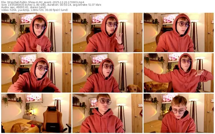 stripchat-mr_evan1-12-20-2025-17-06-03