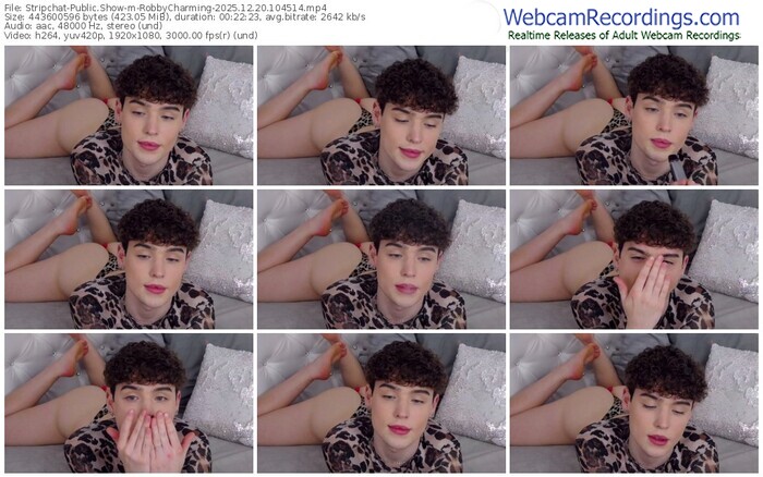 stripchat-robbycharming-12-20-2025-10-45-14