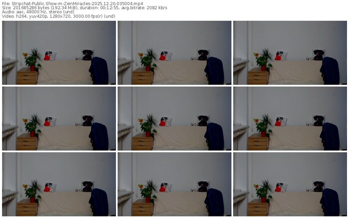 stripchat-zeinmiracles-12-20-2025-03-50-04